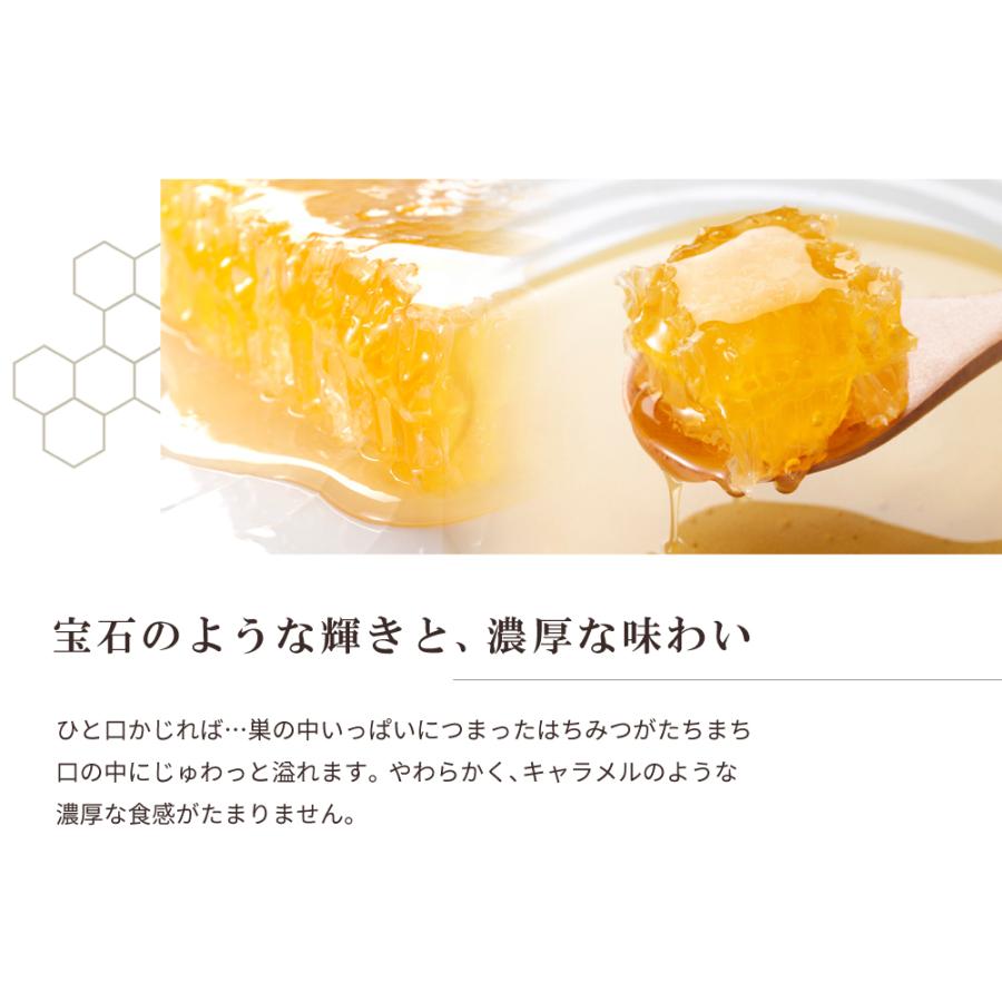 山田養蜂場 巣蜜(ハンガリー産)200g ミツロウ 蜜蝋 ハニートースト