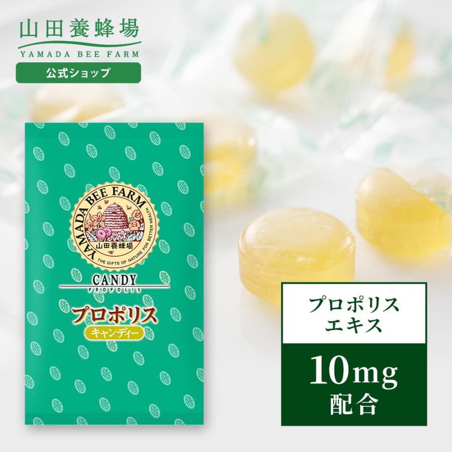 山田養蜂場 プロポリスキャンディー 100g入（24-26粒） プロポリス
