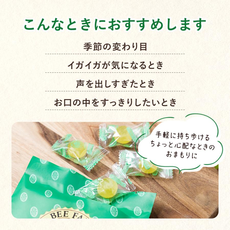 山田養蜂場 プロポリスキャンディー 100g入（24-26粒） プロポリス