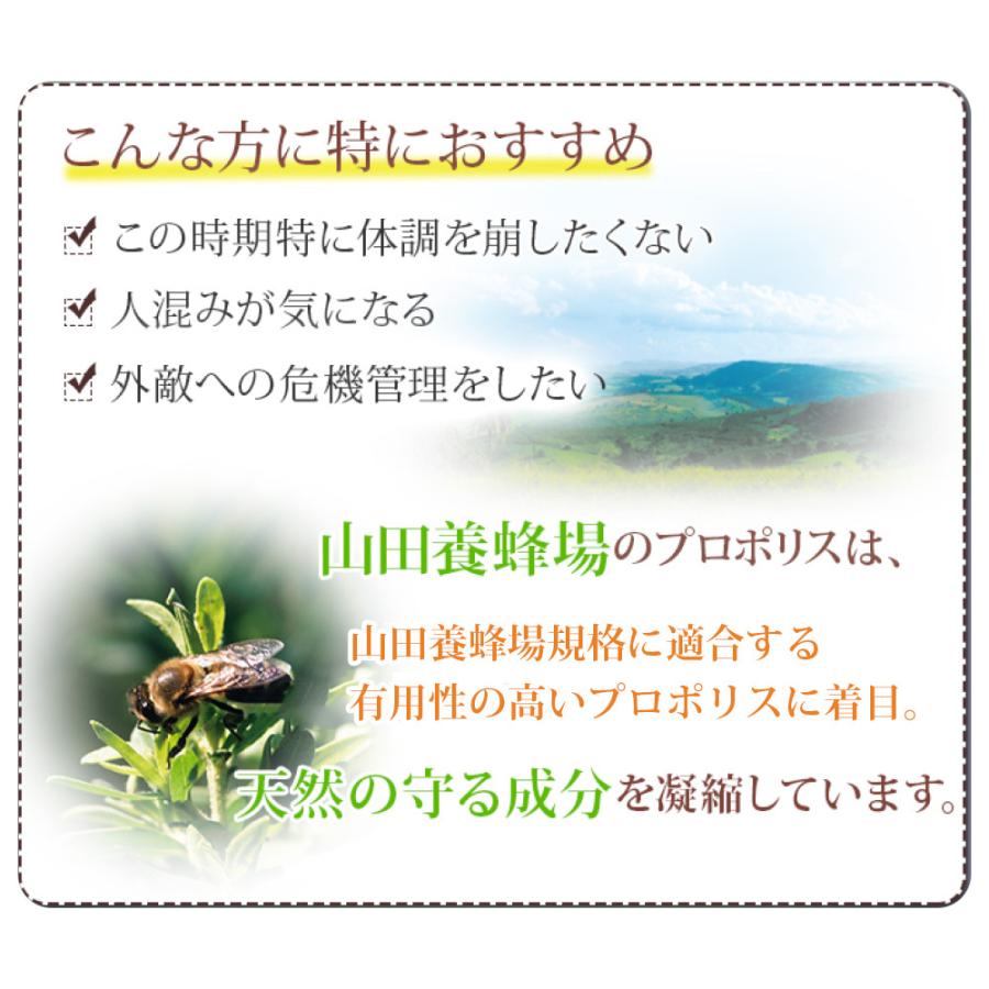 山田養蜂場 送料無料 プロポリス液30 (ブラジル産) 30ml入  健康食品 サプリ 父の日｜yamada3838｜02