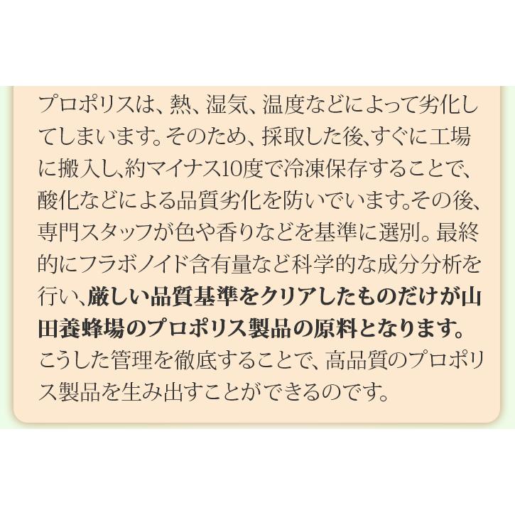 山田養蜂場 送料無料 プロポリス液30 (ブラジル産) 30ml入  健康食品 サプリ 父の日｜yamada3838｜07