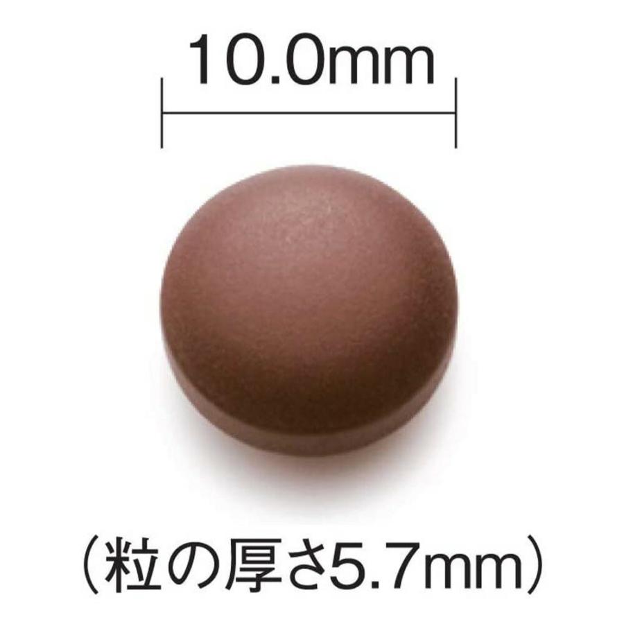 山田養蜂場 酵素分解ローヤルゼリー CoQ10 120粒入 ギフト プレゼント 健康食品 人気 50代 60代 70代 80代 健康 母の日の画像