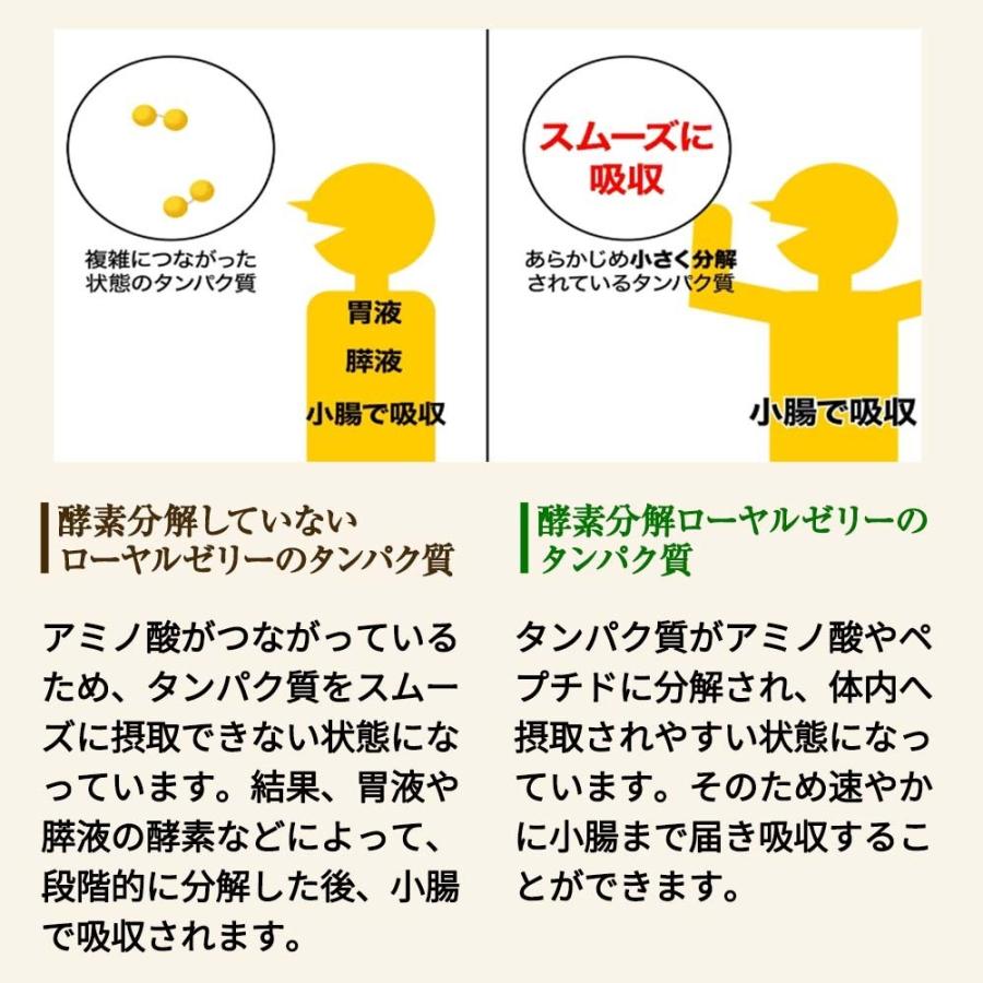 山田養蜂場 酵素分解ローヤルゼリー キング 分包タイプ(33包/99粒