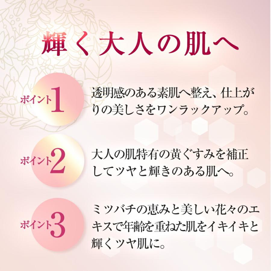 山田養蜂場 BEE MAKE パウダーファンデ セット オークル (専用ケース+