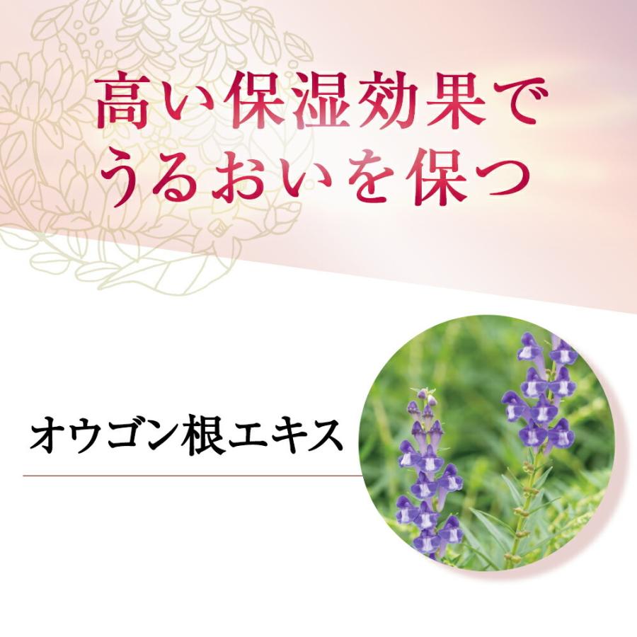 山田養蜂場 BEE MAKE パウダーファンデ セット オークル (専用ケース+