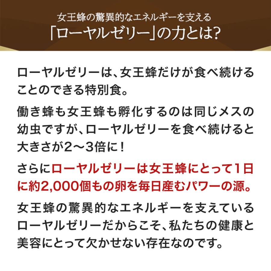 山田養蜂場 酵素分解ローヤルゼリー キング 得用600粒 ロイヤルゼリー