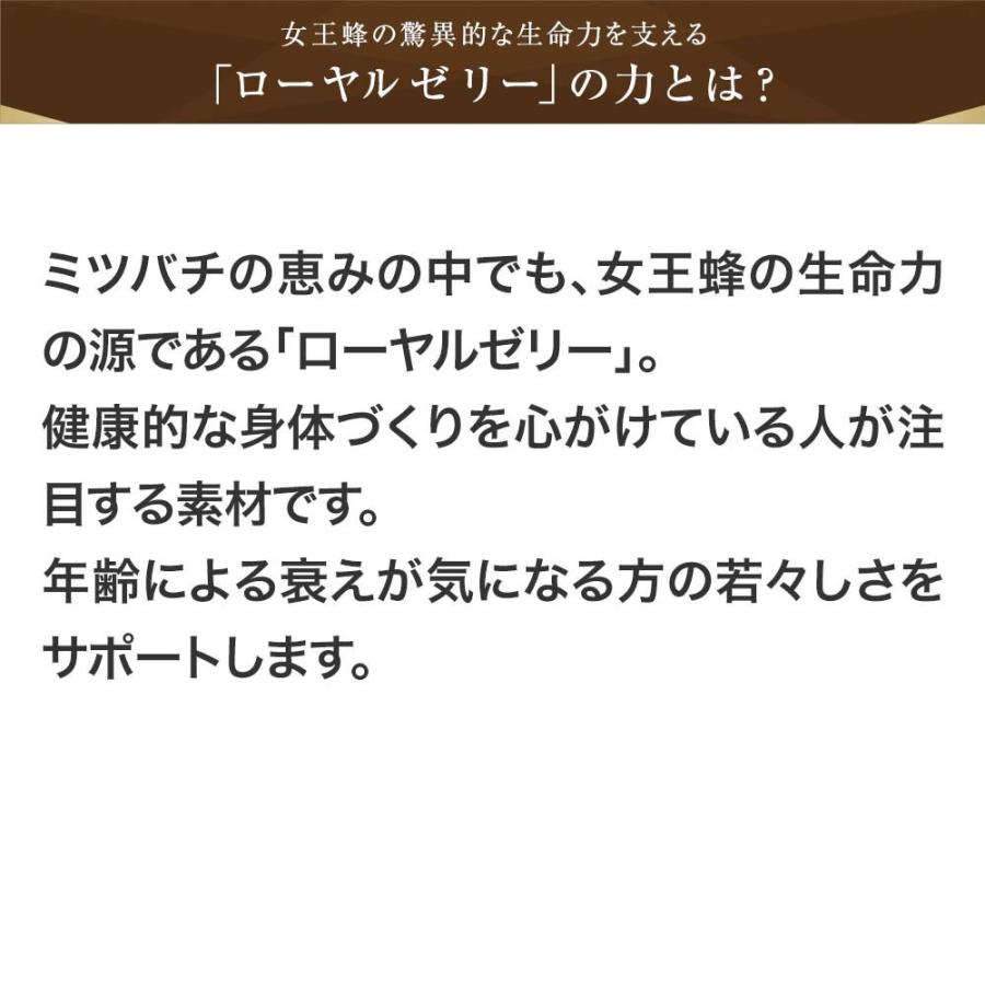 山田養蜂場 送料無料 酵素分解ローヤルゼリー キング 得用600粒 