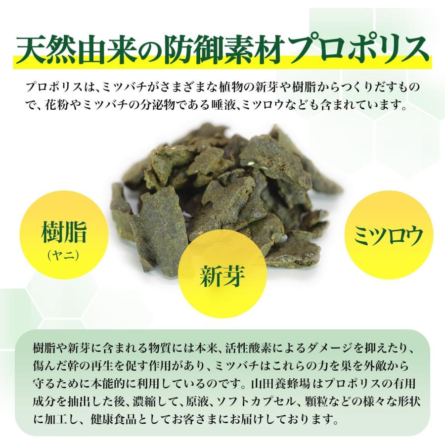 山田養蜂場 プロポリス300 詰替用(500球) プロポリス サプリメント サプリ カプセル 活力 元気 若々しく 健康食品 健康 ギフト 送料無料 ホワイトデー | 山田養蜂場 | 03