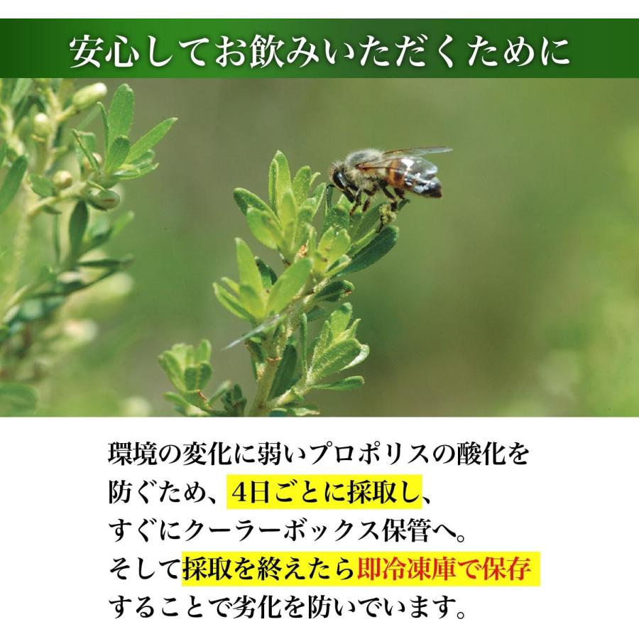 山田養蜂場 プロポリス300 詰替用(500球) プロポリス サプリメント サプリ カプセル 活力 元気 若々しく 健康食品 健康 ギフト 送料無料 ホワイトデー | 山田養蜂場 | 04