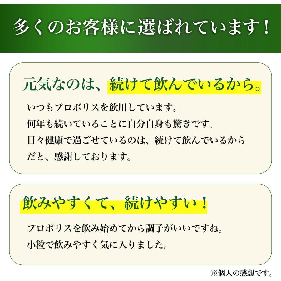 山田養蜂場 プロポリス300 詰替用(500球) プロポリス サプリメント サプリ カプセル 活力 元気 若々しく 健康食品 健康 ギフト 送料無料 ホワイトデー | 山田養蜂場 | 07