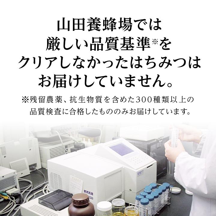 山田養蜂場 マヌカ蜂蜜 MG100+ （クリームタイプ）＜200g×6本＞ 母の日の画像