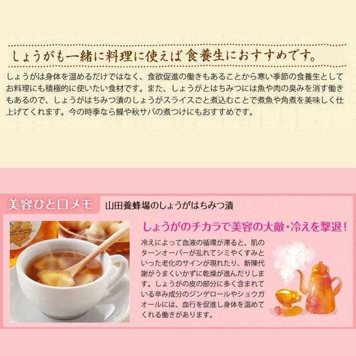 山田養蜂場 しょうがはちみつ漬 900g×5本 はちみつ ギフト 母の日