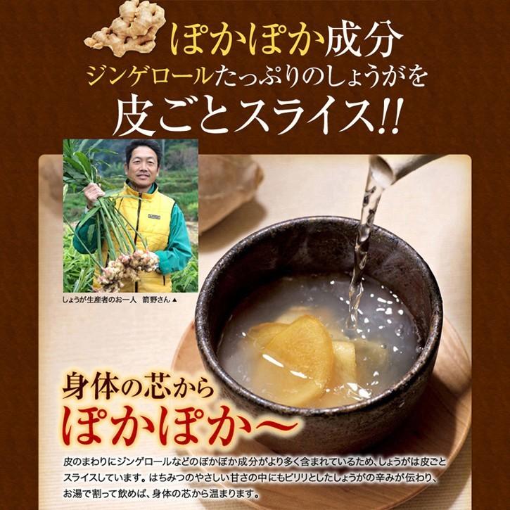 山田養蜂場 しょうがはちみつ漬 900g×5本 はちみつ ギフト 母の日