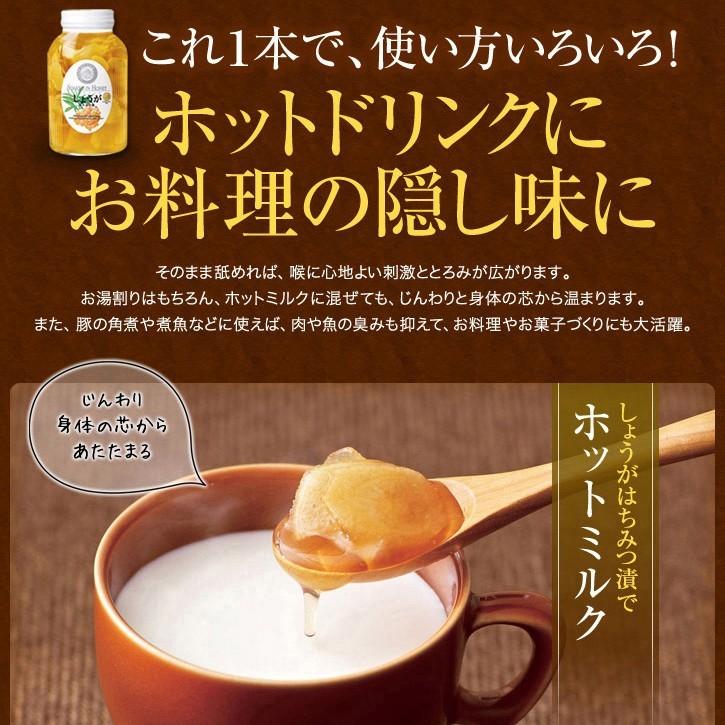 山田養蜂場 しょうがはちみつ漬 ＜900g×5本＞ はちみつ 百花蜂蜜 生姜 ショウガ 国産 食べ物 食品 飲み物 ドリンク ジュース 健康 男性 女性 父 母 夫 妻 両親 お取り寄せグルメ ギフト 贈答 プレゼント 誕生日 お歳暮 山田養蜂場 しょうがはちみつ漬 900g×5本 はちみつ ギフト お歳暮