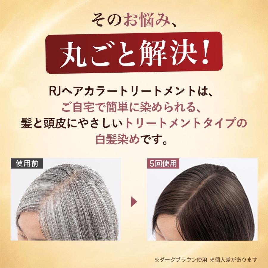 山田養蜂場 RJヘアカラートリートメント ライトブラウン 210g ダメージ