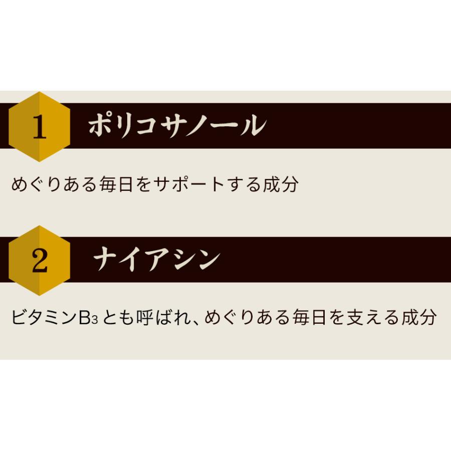 山田養蜂場 蜂の子ゴールド5ヵ月セット 送料無料 お歳暮 : 山田養蜂場