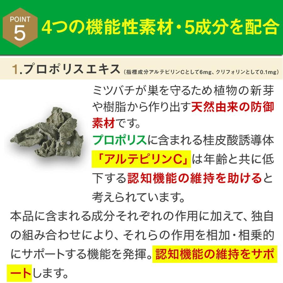 山田養蜂場 ノンアルツBee 90球 プロポリス クルクミン 機能性表示食品 山田養蜂場 ノンアルツBee 90球×3袋 機能性表示食品 プロポリスエキス