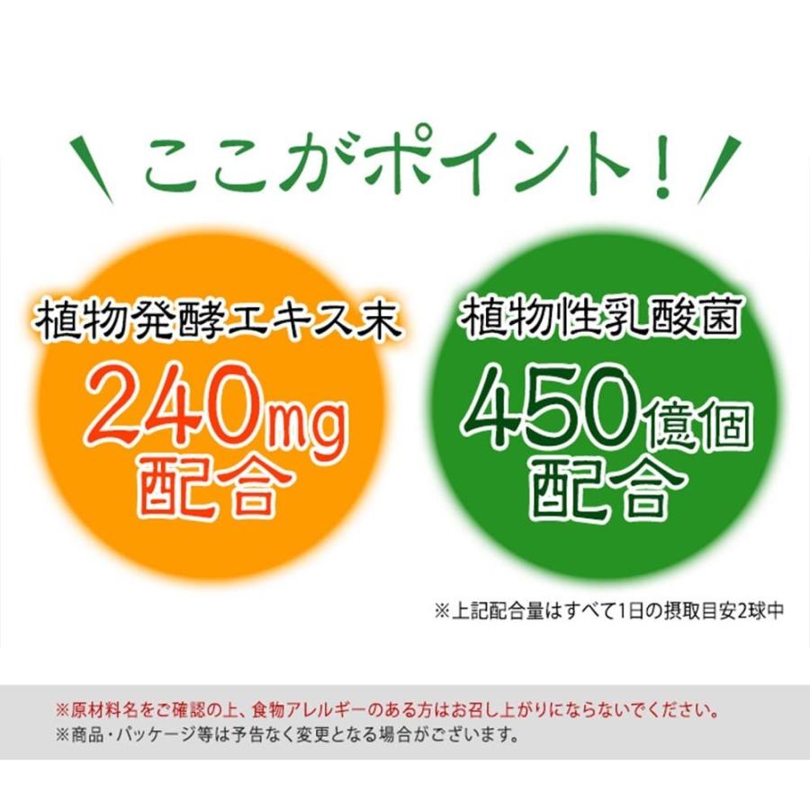 山田養蜂場 酵素×乳酸菌ダイエット 60球×3袋 健康食品 サプリ お中元