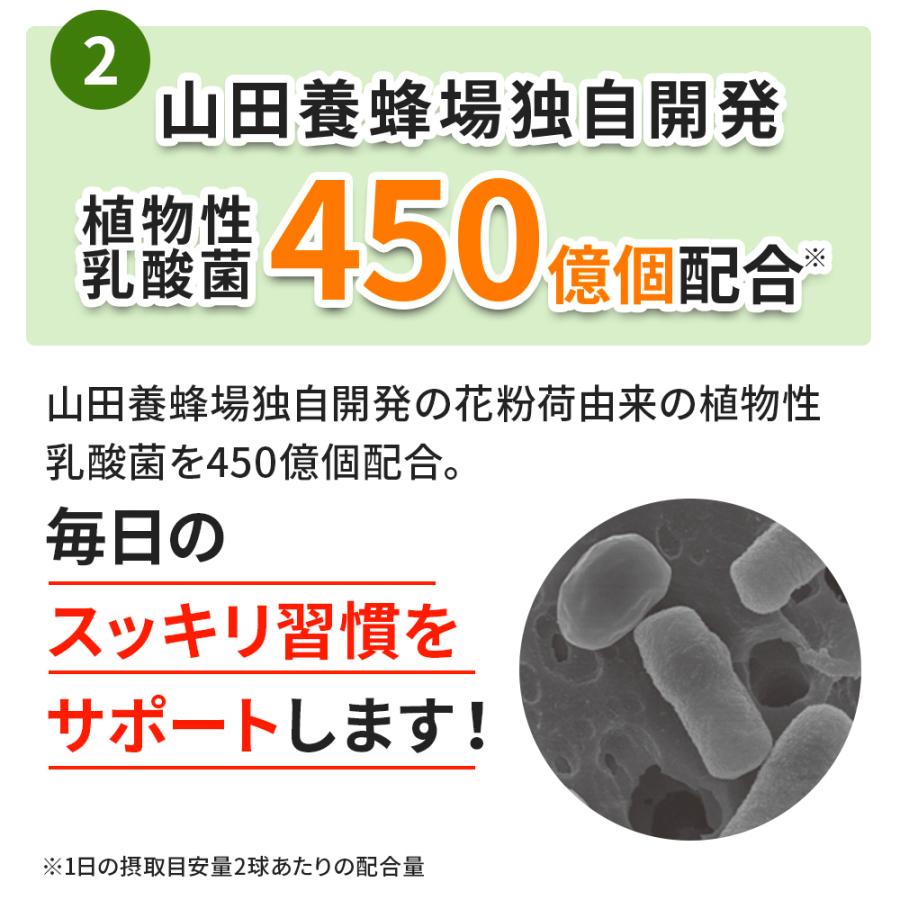 山田養蜂場 酵素×乳酸菌ダイエット 60球×3袋 健康食品 サプリ お中元
