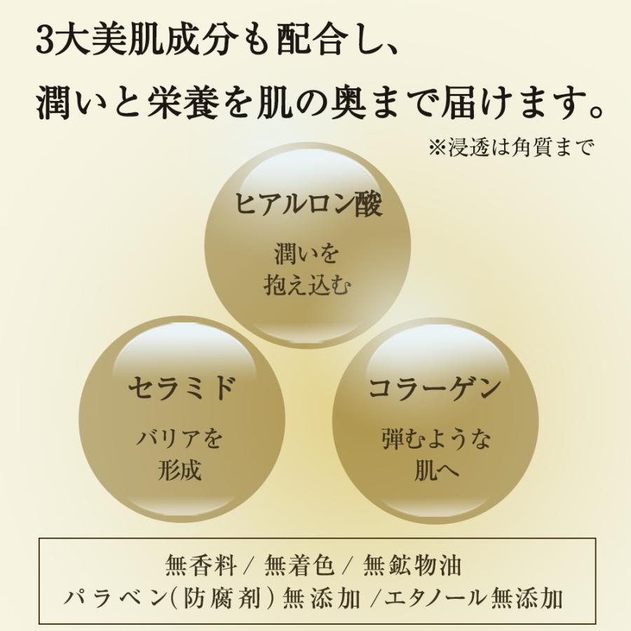 山田養蜂場 RJローション N(脂性肌) 化粧水 120mL 送料無料 父の日