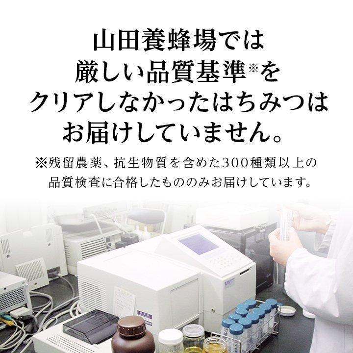 山田養蜂場 マヌカ蜂蜜 MG100+（クリームタイプ）2本ギフト 200g×2本 グリホサート検査済 お取り寄せグルメ ギフト 贈答 プレゼント お中元 | 山田養蜂場 | 02