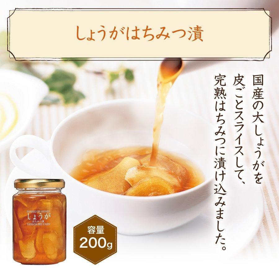 山田養蜂場 はちみつ果実漬セット(ゆず・しょうが) しょうがはちみつ漬 ゆずはちみつ漬 アカシア蜂蜜  各200g ギフト はちみつ漬 お中元 | 山田養蜂場 | 04