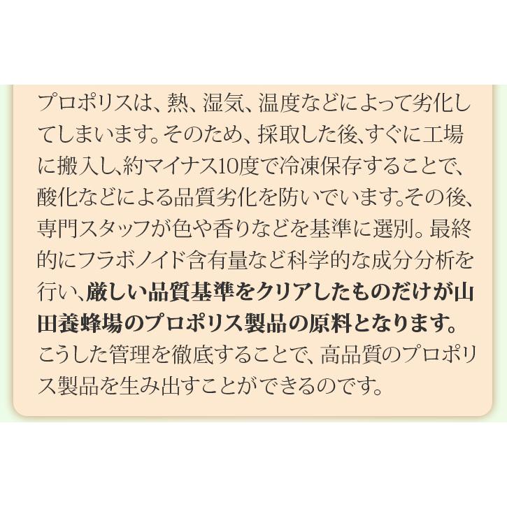 山田養蜂場 送料無料 プロポリス300 分包タイプ(33包/99球入) ギフト プレゼント サプリメント 健康補助食品 健康 人気 50代 60代 70代 80代 健康 母の日｜yamada3838｜09