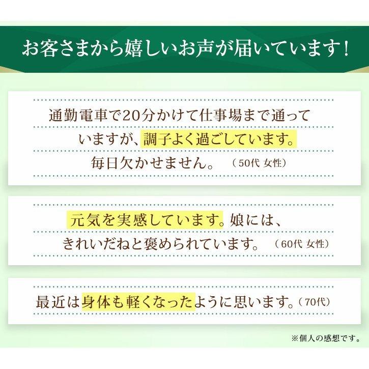 山田養蜂場 送料無料 プロポリス300 分包タイプ(33包/99球入) ギフト プレゼント サプリメント 健康補助食品 健康 人気 50代 60代 70代 80代 健康 母の日｜yamada3838｜04