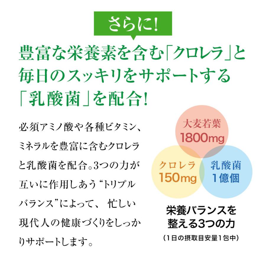 山田養蜂場 送料無料 茶師の青汁 90g(3g×30包)/箱入 ギフト プレゼント 健康食品 人気 サプリ 父の日｜yamada3838｜07