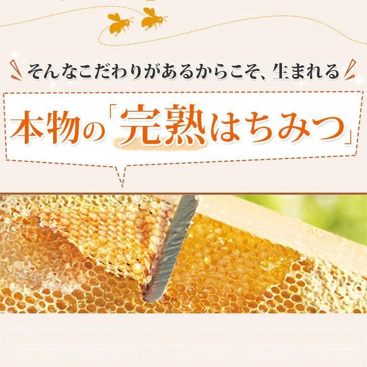山田養蜂場 アカシア蜂蜜(ルーマニア産) 100gビン入 グリホサート検査