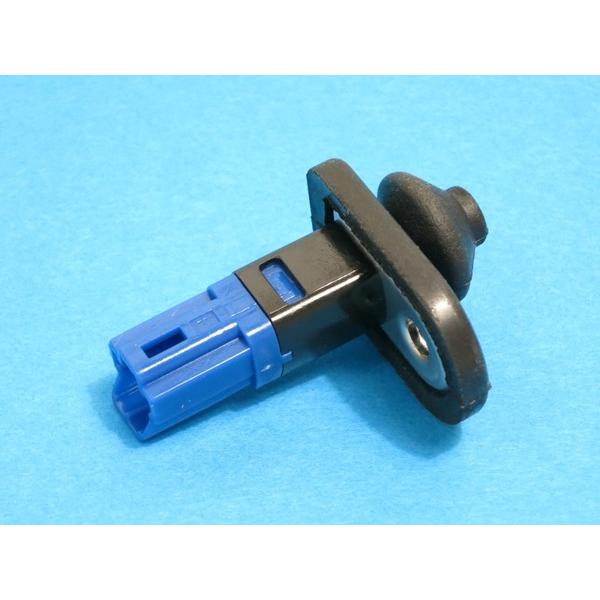 いのっち のっち（撮影：石井亜希） - Perfumeが熱狂のカウントダウンライブで