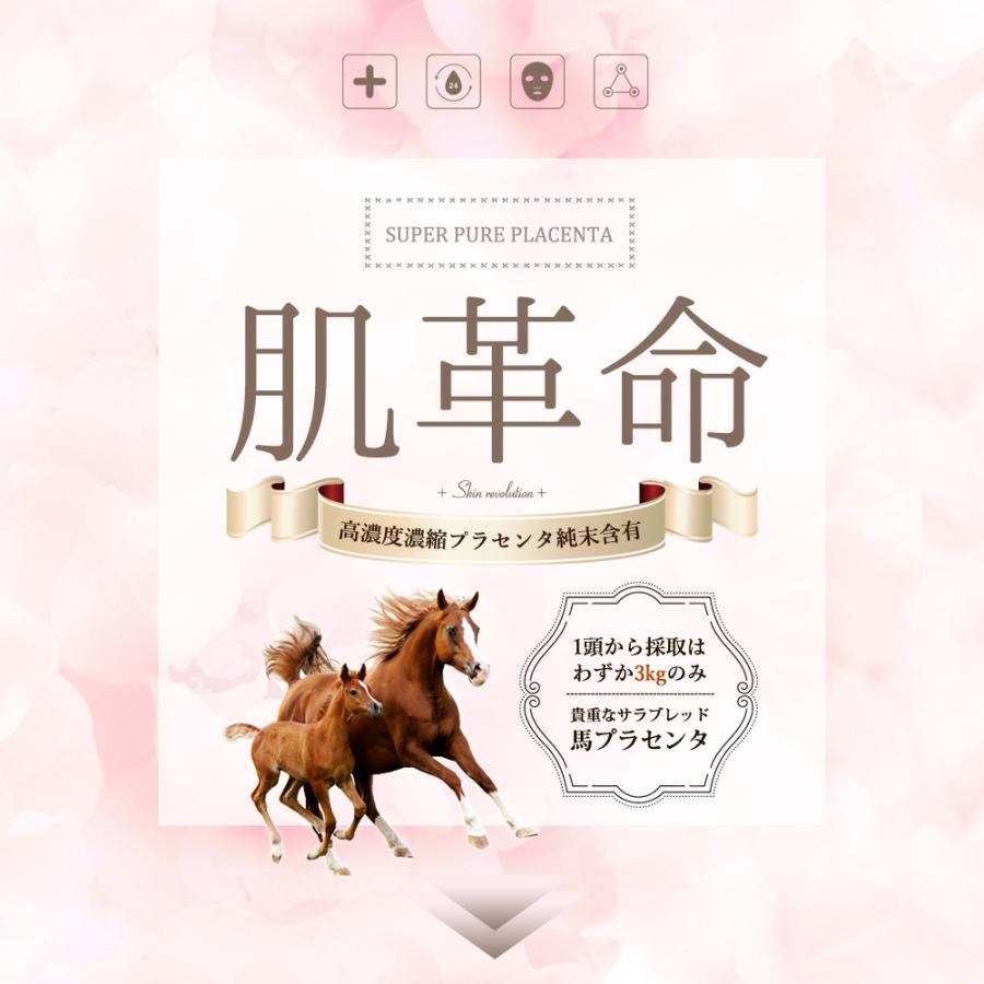 プラセンタ サプリ 馬プラセンタ 送料無料 : YamadaFarm - 通販