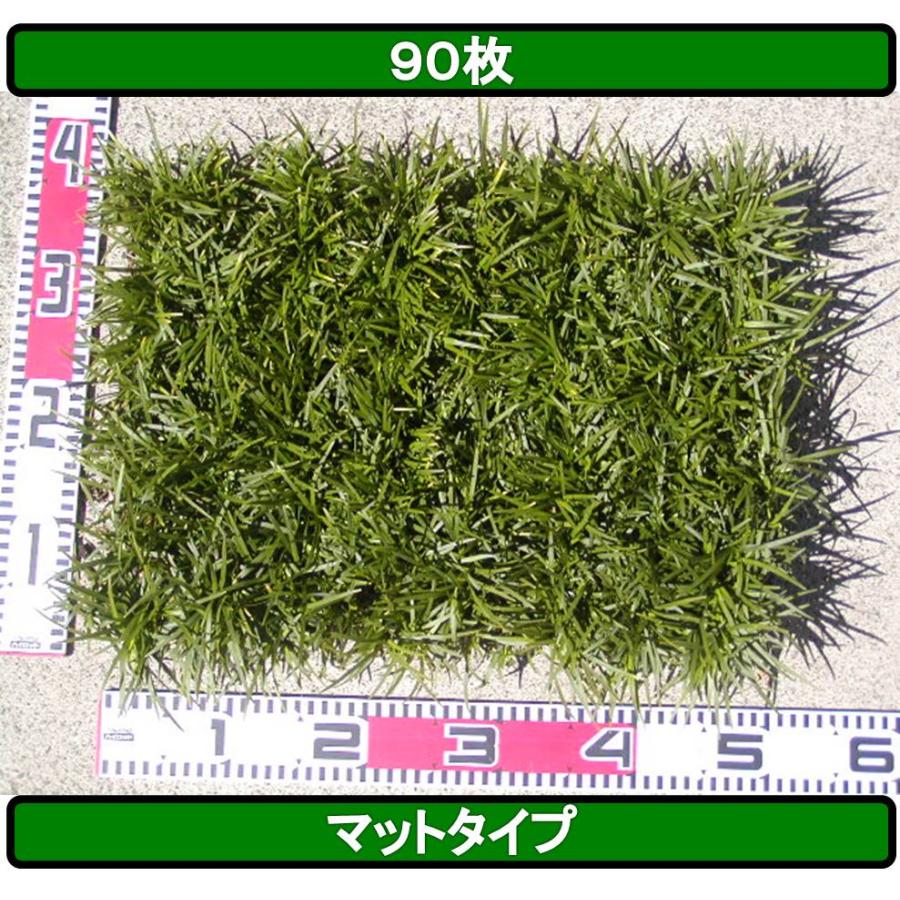 タマリュウ 玉竜 たまりゅう ９０枚 玉竜 タマリュウ たまりゅう90枚【タマリュウ.com】 : タマリュウ