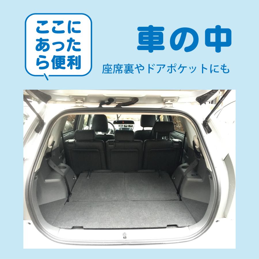 車内に保存】高温耐熱アルミパウチ《名前も書ける保存水》『東京備
