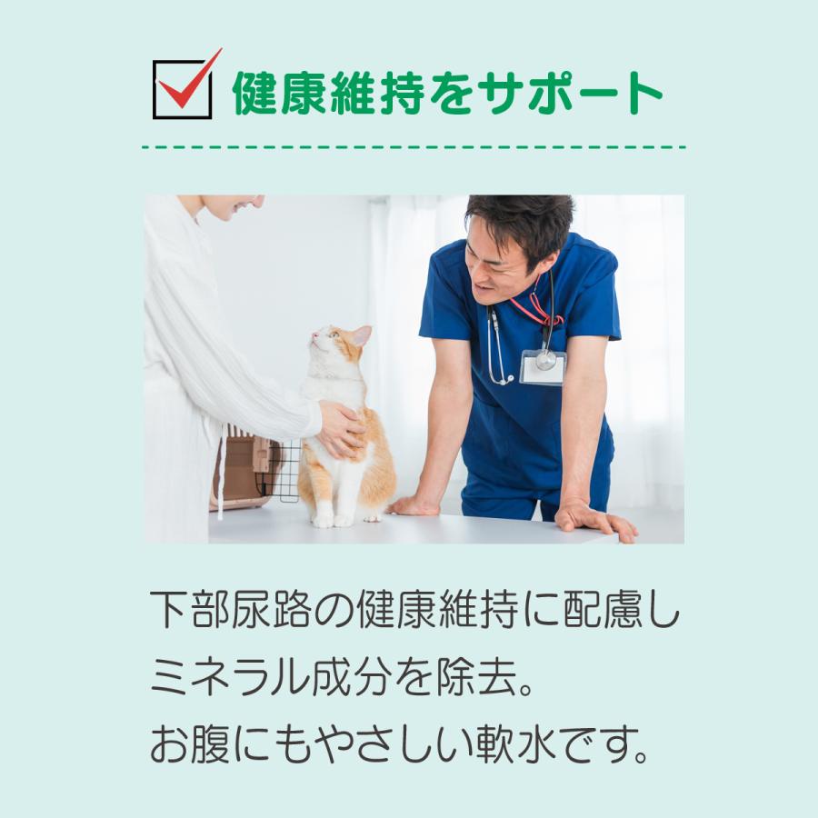 Wでお得！クーポン＆ポイント】【スイソDo！レギュラー240ml 20本