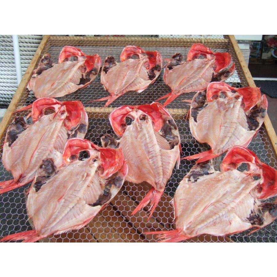 稲取キンメ 干物 １枚 国産 金目鯛 お祝い お礼 ギフト 贈答品 父の日 母の日 今日の超目玉 無添加 海産物 製造直売 お中元 山田屋 伊豆 ひもの お歳暮 自家製