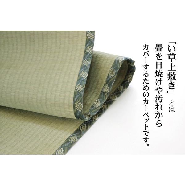 い草 上敷き/ラグマット 〔糸引織 六一間8畳 約370×370cm〕 抗菌 防臭 調湿 日本製 減農薬栽培 熊本県八代産イ草使用_7