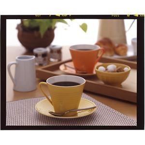 タカノコーヒー ショットワンカフェ 有機イタリアーノ12個セット AZB1216X12〔代引不可〕 