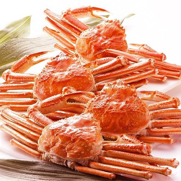 身入り抜群のA級品 〕カナダ産ボイルズワイガニ姿・約500g×