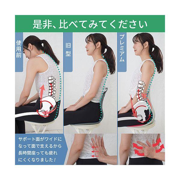DCT 改良型・天使の椅子プレミアム 姿勢矯正・骨盤チェア 噂の美姿勢サポート 腰や背中を包み込む レッド DCT-R1000_3