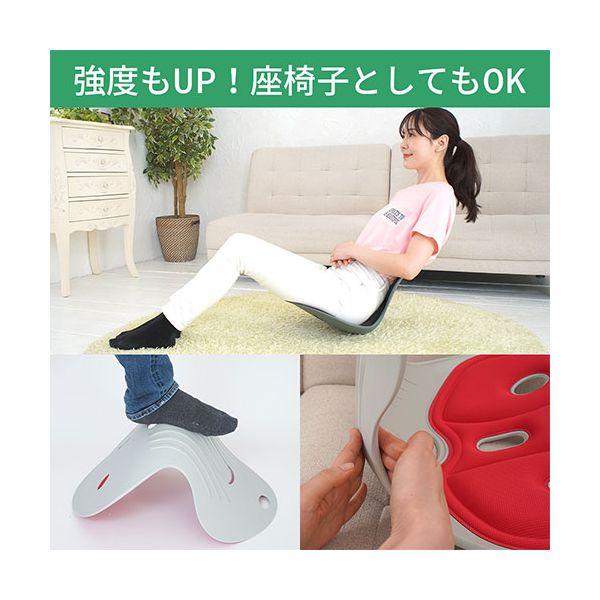 DCT 改良型・天使の椅子プレミアム 姿勢矯正・骨盤チェア 噂の美姿勢サポート 腰や背中を包み込む レッド DCT-R1000_4