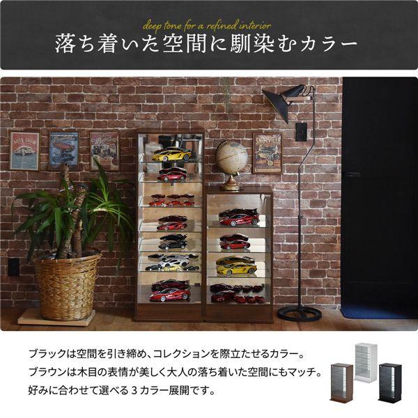 コレクションケース 〔 Mサイズ ライトグレー 〕 扉付き 背面ミラー