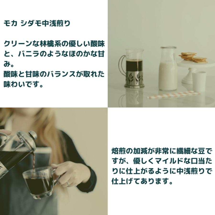 飲料・酒 【iimoriyama88様専用】モカ シダモ5kg ※送料無料！！