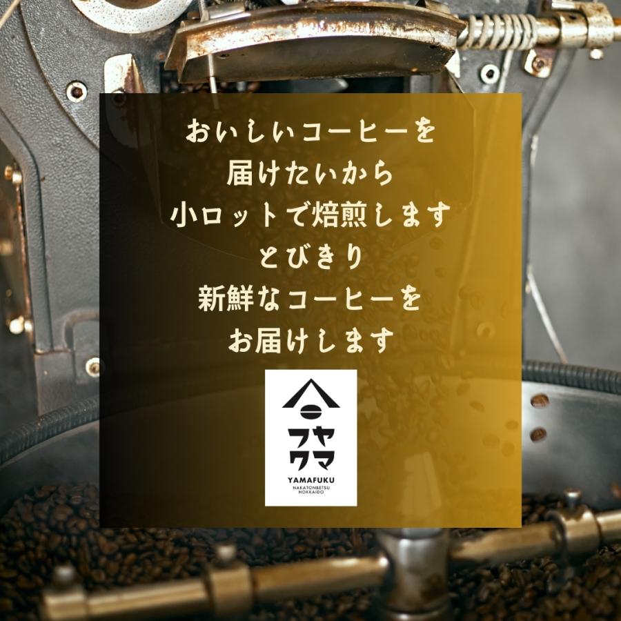 お好きな豆から2種類選べる！ 自家焙煎 コーヒー 合計400g どれでも