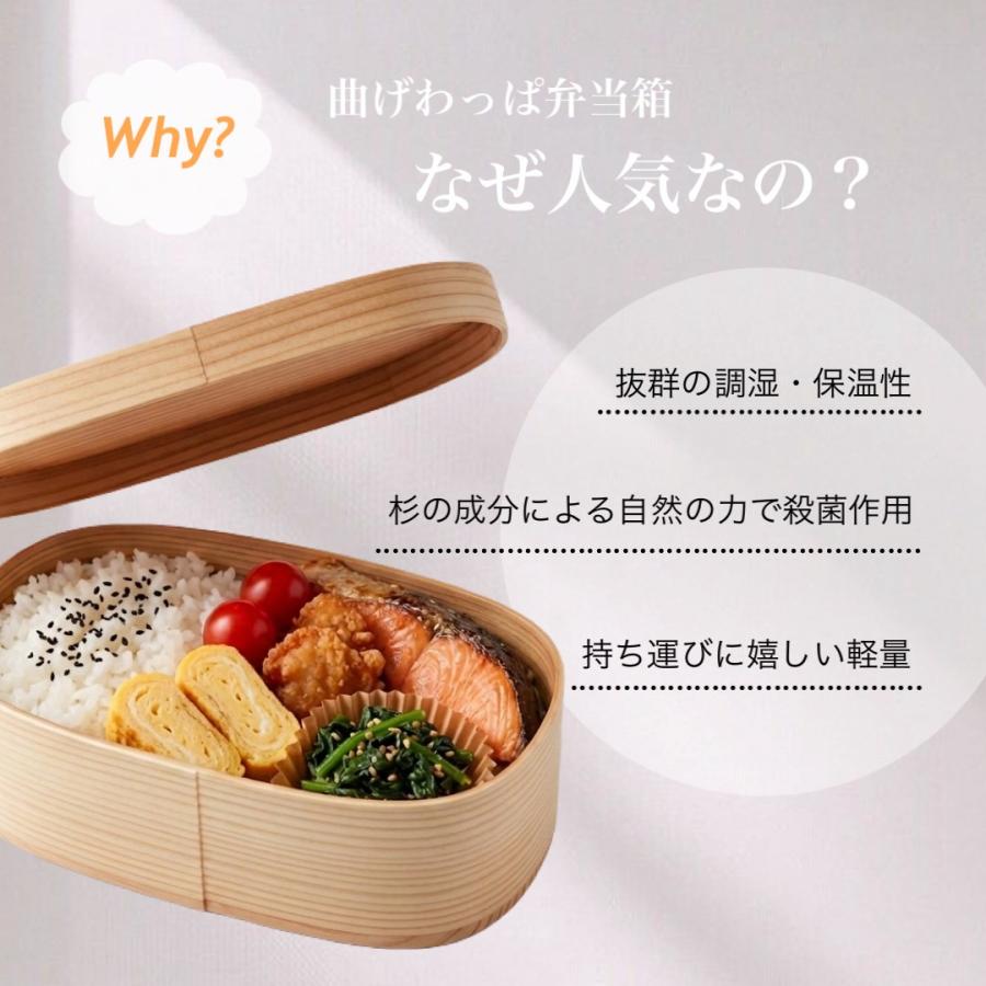 曲げわっぱ 弁当箱 白木 まげわっぱ お弁当箱 500ml 木製 新生活 日本