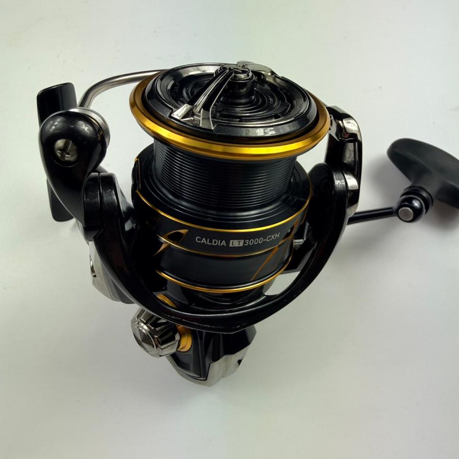 DAIWA（ダイワ） 21カルディア LT3000-CXH スピニングリール エギング