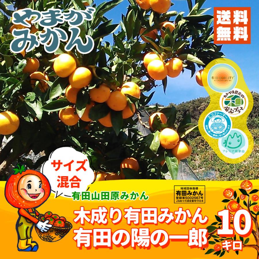 有田みかん 木成り有田の陽の一郎 ありだのひのいちろう 10kg 化学肥料不使用 減農薬 和歌山有田山田原みかん やまがみかん園 送料無料 2978 有田みかん 産直 やまがみかん園 通販 Yahoo ショッピング