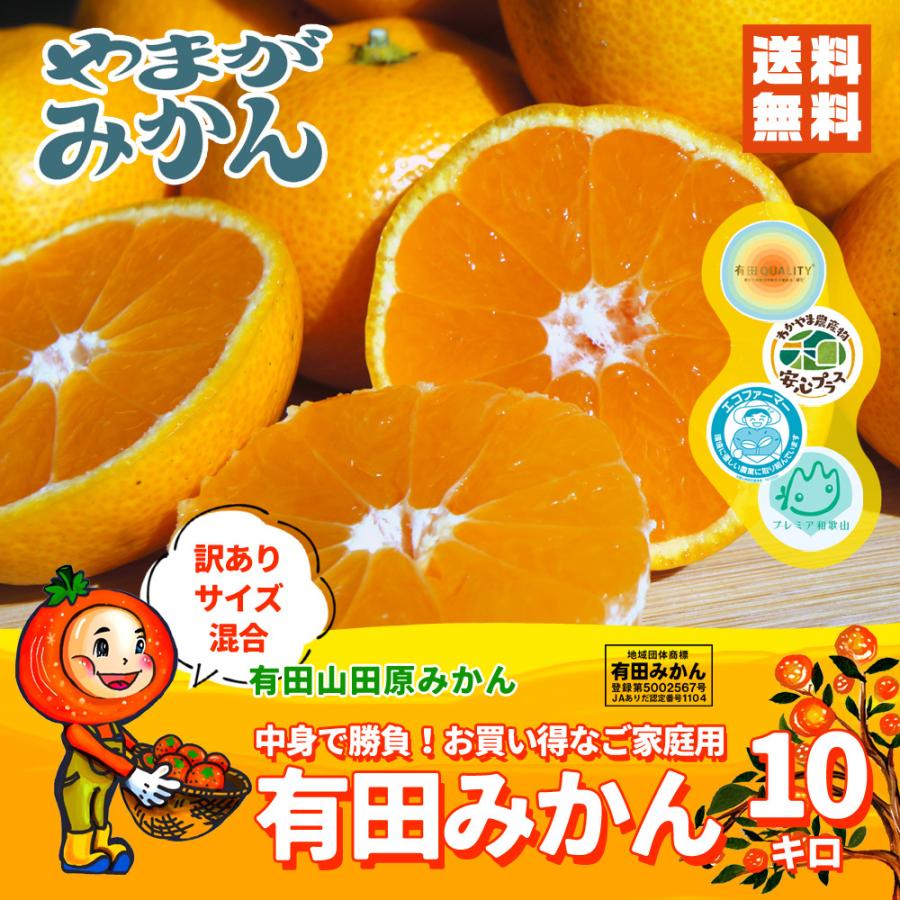 ❺【訳あり♡数量限定】有田みかん 早生 10kg Sサイズのみ❤︎中身で勝負！ 有田みかん 見た目より中身で勝負 お得な訳ありみかん ご家庭用 10kg