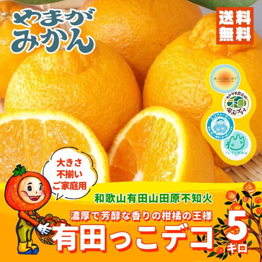 不知火(しらぬい) 有田っこデコ 5kg みかんで有名な和歌山有田 不知火(しらぬい) 有田っこデコ 5kg みかんで有名な和歌山有田