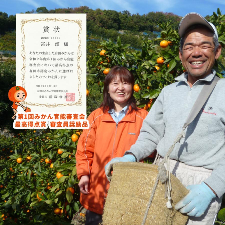 清見オレンジ 約10ｋg  木成り完熟 サイズ無選別 減農薬の為キズあります ご家庭用 訳あり 和歌山有田産きよみオレンジ やまがみかん園 送料無料｜yamagaorange｜07